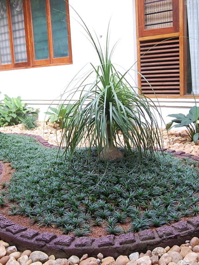 10 Beautiful Pea Gravel Landscaping Ideas You Will Love